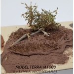 MODELTERRA MT003